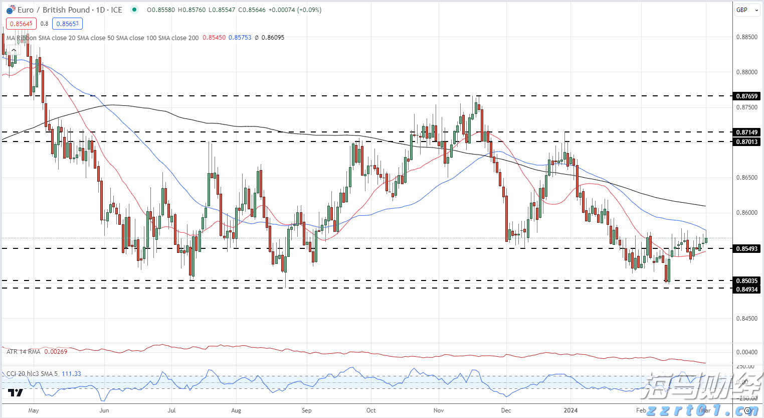 优服务强支撑 湛江市构建“近悦远来”人才生态