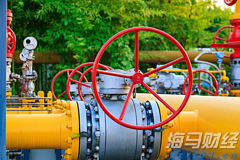 多地延长婚假，政策如何更好落地？