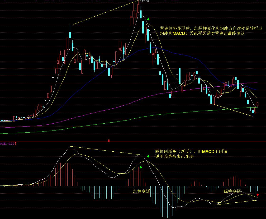 极智嘉(02590)IPO后首份业绩预告喜人！预计上半年收入大幅增长，亏损显著缩小，具身智能业务增添新动力