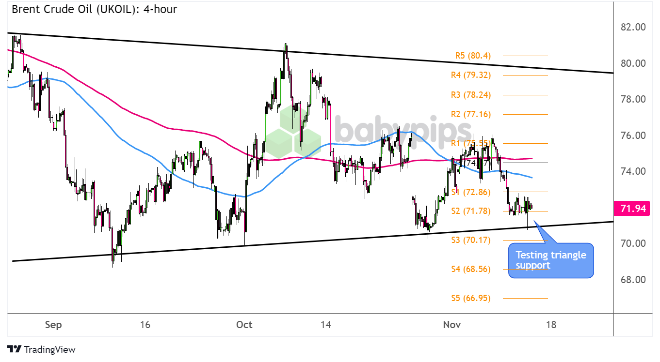 雷州市博物馆暑期延长开放时间