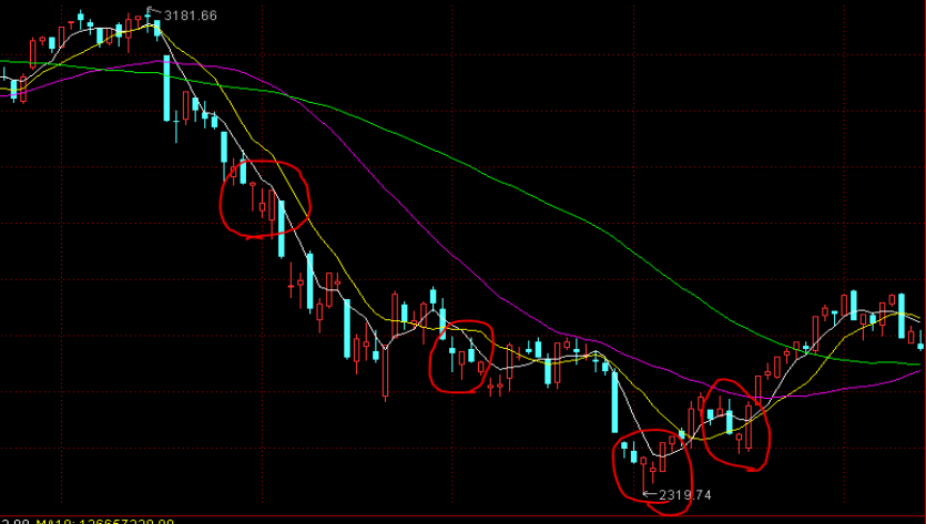 第138届广交会首波推介深耕亚太 多国联动织密中外贸易纽带