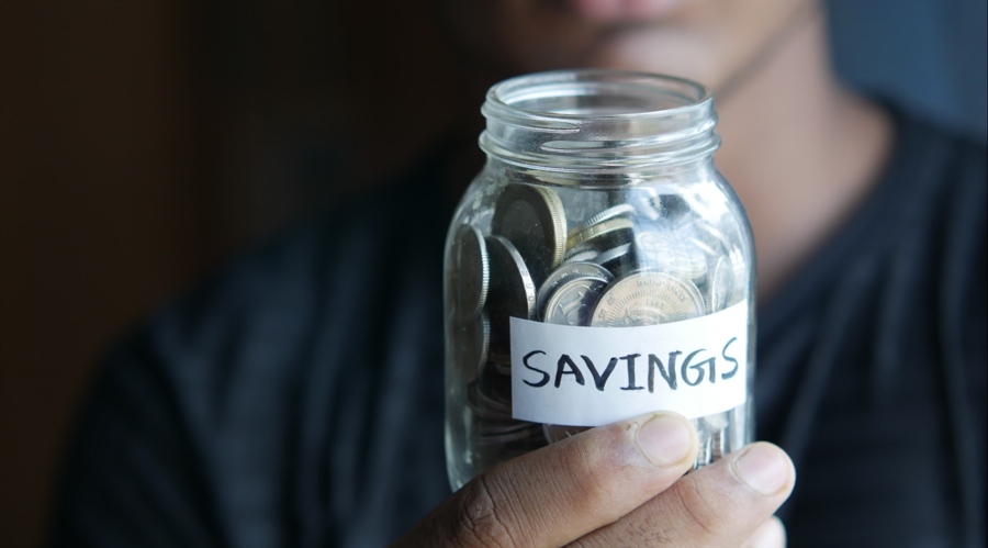 香菜不香?科学家揭秘:害虫也嫌它“有毒”